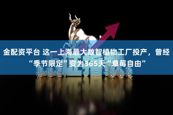 金配资平台 这一上海最大数智植物工厂投产，曾经“季节限定”变为365天“草莓自由”