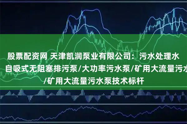 股票配资网 天津凯润泵业有限公司：污水处理水泵源头厂家，自吸式无阻塞排污泵/大功率污水泵/矿用大流量污水泵技术标杆